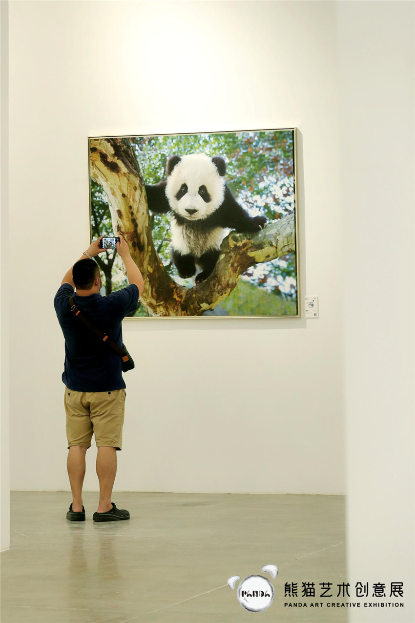 中國全土で初となる「パンダ」アート作品展が開幕　四川省成都