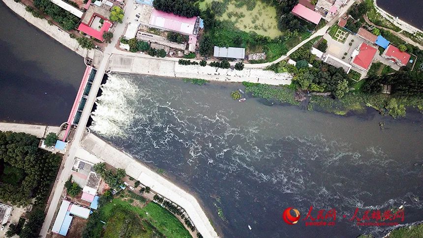 趙王新河治水工事（雄県區(qū)間）上流の棗林荘ハブ水門（4ゲート）。趙王新河の治水工事（雄県區(qū)間）は今年5月26日にその建設を開始し、6月15日に左側(cè)の主流の浚渫作業(yè)を終え、上流からの放水の受け入れ能力を備えている（撮影?宋燁文）。