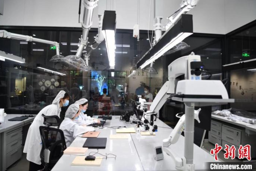 三星堆の「象牙修復突撃隊」は世界的課題をどのように克服？