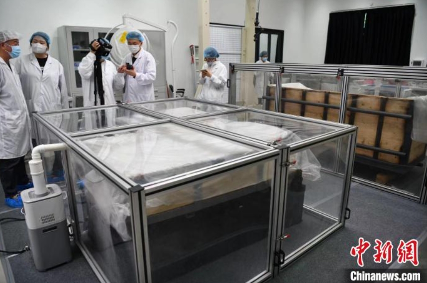 三星堆の「象牙修復(fù)突撃隊(duì)」は世界的課題をどのように克服？