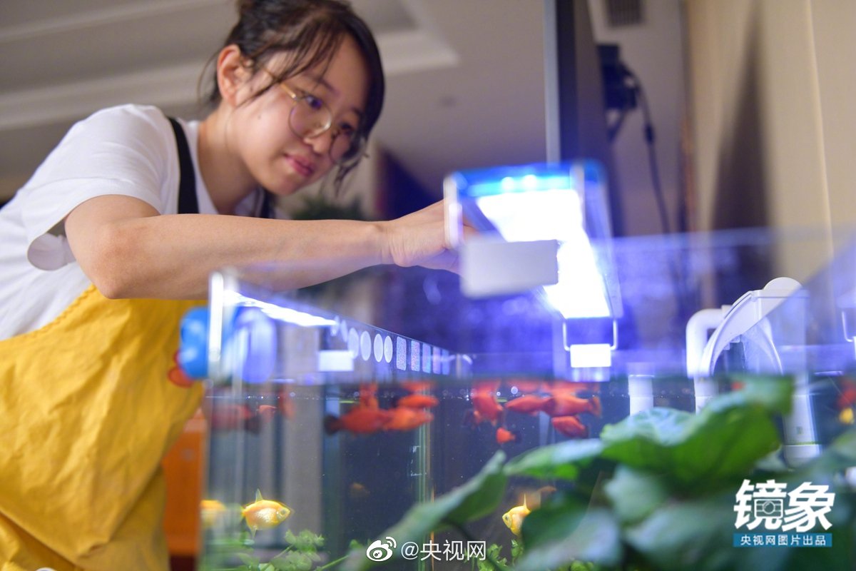 住み込みベビーシッターの仕事に楽しみ見出した海外留學経験者の女性