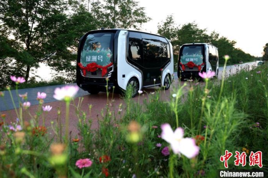 魚梁洲環(huán)狀景観道路を走行する無人運転新エネ観光カー（撮影?楊東）。