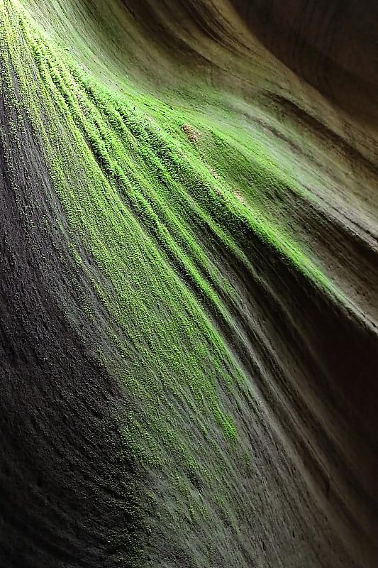 見(jiàn)る者を魅了する雨岔大峽谷の絶景　陝西省延安