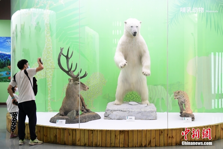 北京自然博物館で「ナイト?ミュージアム」シリーズイベントが開幕