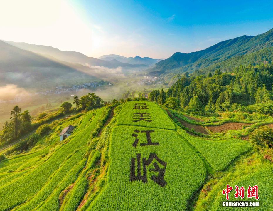 まさに壯観！上空から見た江嶺棚田　江西省婺源