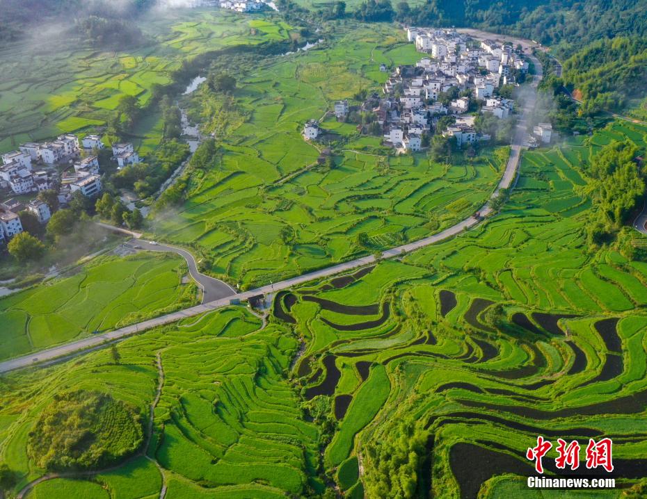 まさに壯観！上空から見た江嶺棚田　江西省婺源