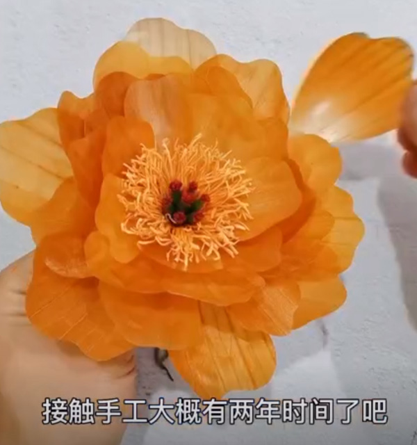 美しい花々の材料は野菜の皮?。俊∩綎|省