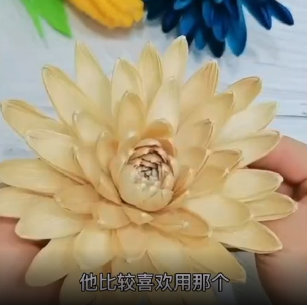 美しい花々の材料は野菜の皮??？　山東省