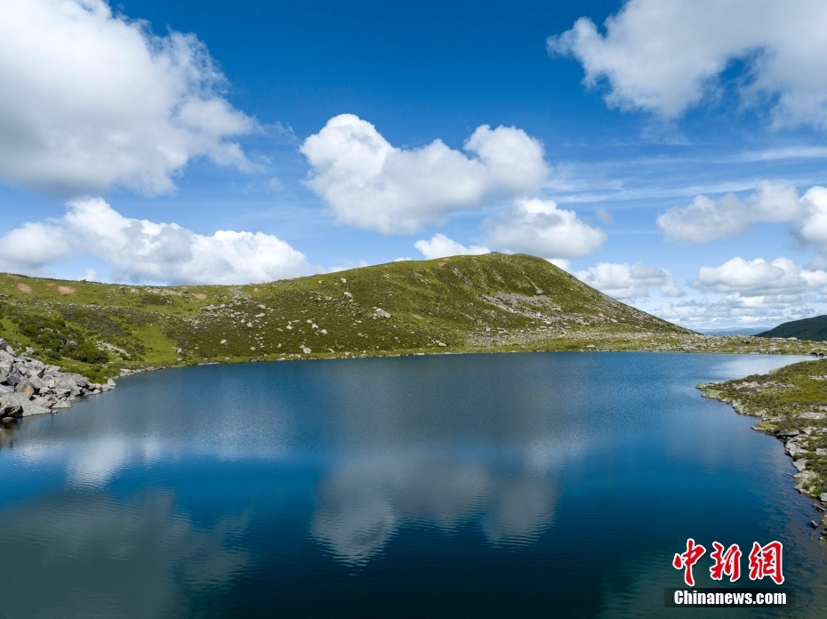 サファイアのような夏の措瓊?！∷拇ㄊ〖t原