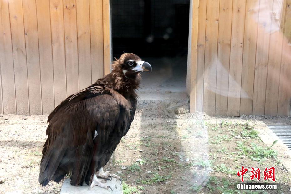 祁連山國(guó)家公園青海片區(qū)の「保育園」を訪れて