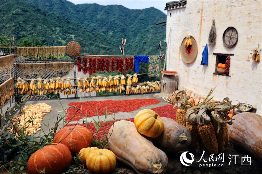 農(nóng)作物の天日干し始まる　江西省婺源