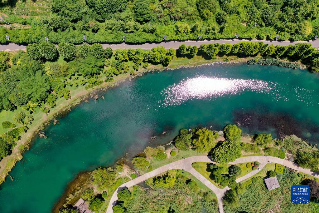 旅人も酔いしれる貴陽?十里河灘の緑の眺め　貴州省