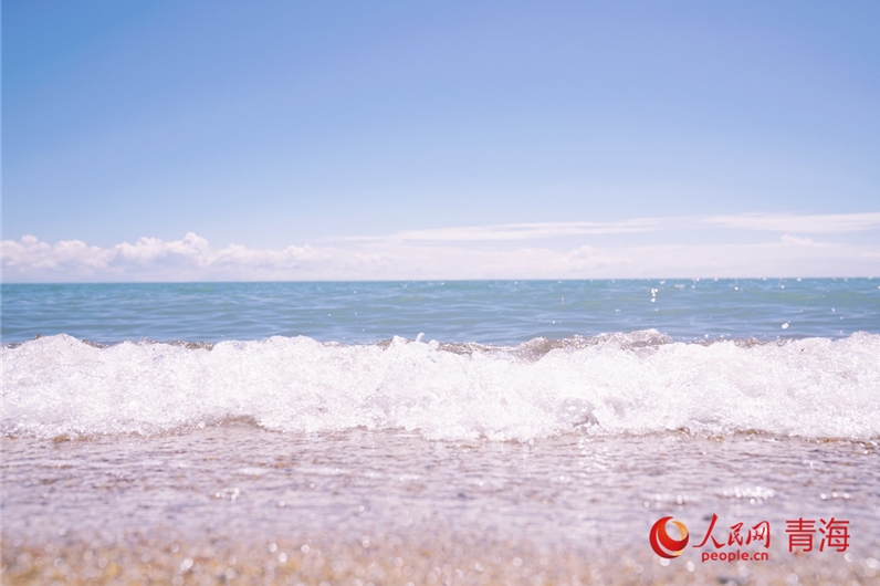 8月の青海湖北岸（撮影?甘海瓊）。