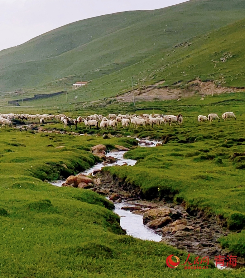 観光客を魅了する豊かな自然　青海剛察