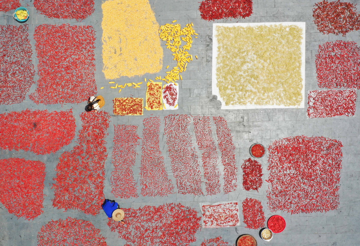 8月14日、貴州省黔東南苗（ミャオ）族自治州従江県往洞鎮(zhèn)増沖村で、農(nóng)作物を天日干しにする村民（ドローンによる撮影?羅京來）。