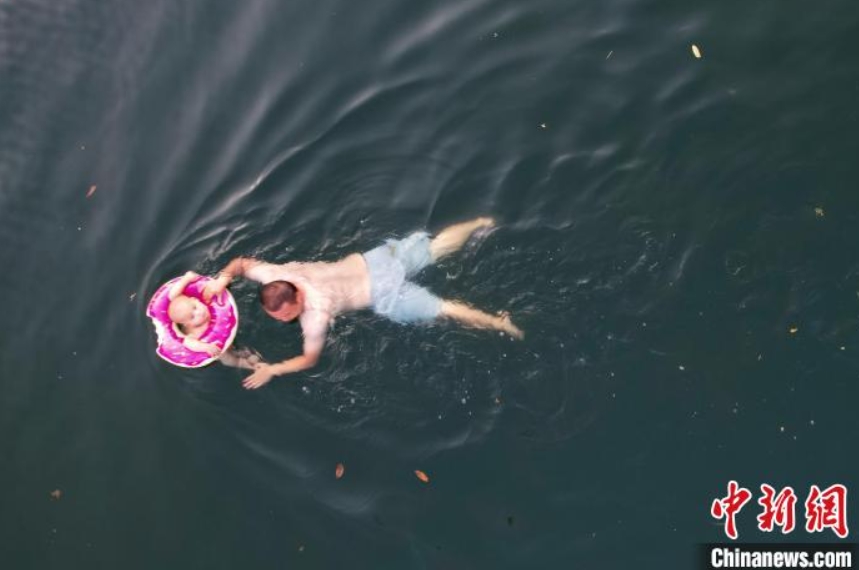 川で泳ぐ親子連れ（撮影?楊華峰）。