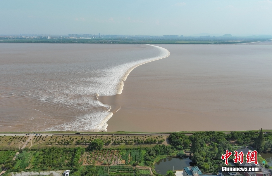 壯観！銭塘江の「鬼王潮」　浙江省嘉興