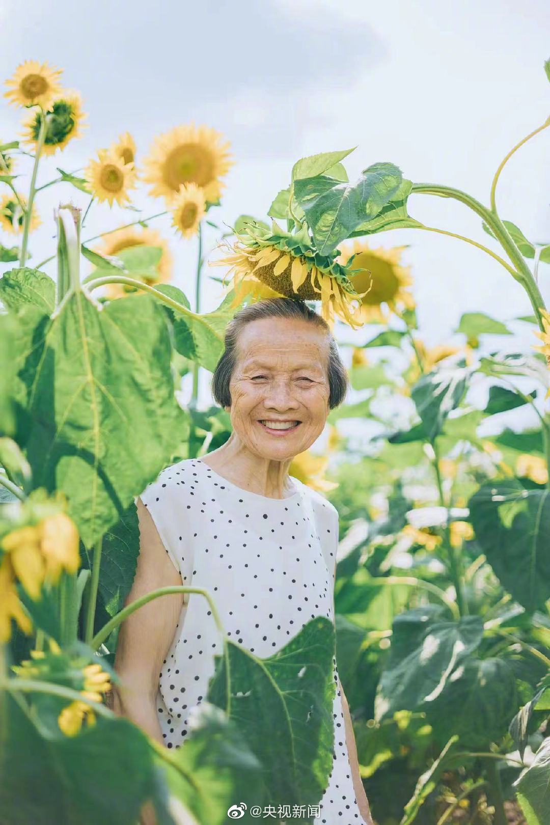 孫娘が撮影した80歳おばあちゃんの「癒し系寫真」