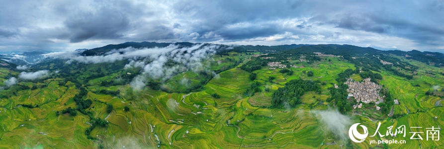山肌にはめこまれた「翡翠」のような紅河ハニ棚田群　雲(yún)南省