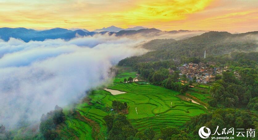 朝靄の中の大漁塘棚田（撮影?胡艶輝）。