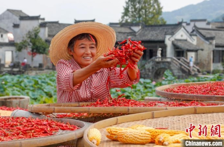 安徽省黃山市徽州區(qū)呈坎古鎮(zhèn)にある呈坎古村で、天日干し場(chǎng)で農(nóng)作物を乾燥させる村民（撮影?施亜磊）