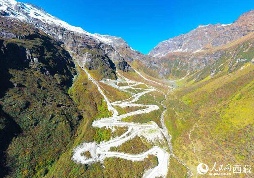 青蔵高原のより良い生態(tài)保護(hù)に取り組む科學(xué)者