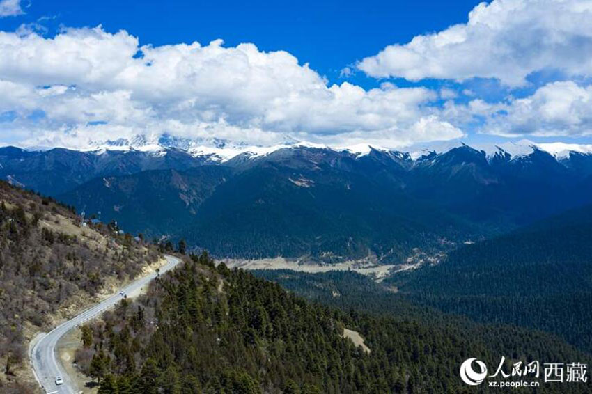標(biāo)高4700メートル以上の色季拉山で観測(cè)される森林から草地までの複數(shù)種類の植生タイプ。(撮影?徐馭堯)