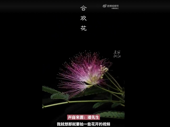 3年かけて撮影した45種類の植物の開花映像が話題に