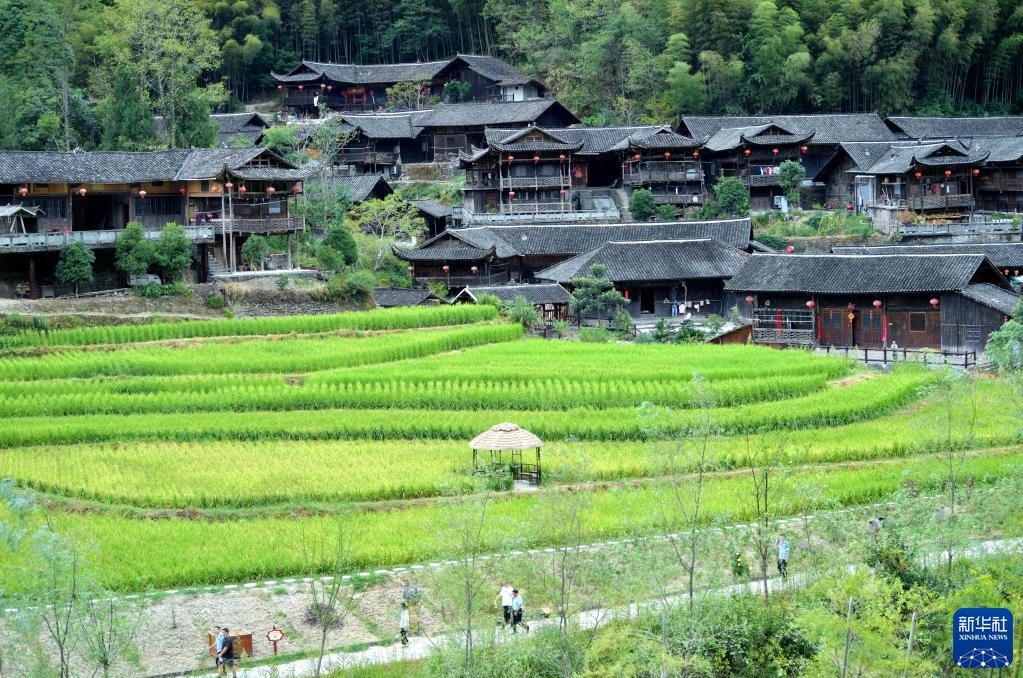 8月31日、彭家寨の「吊腳樓」近くの道を歩く観光客（撮影?宋文）。