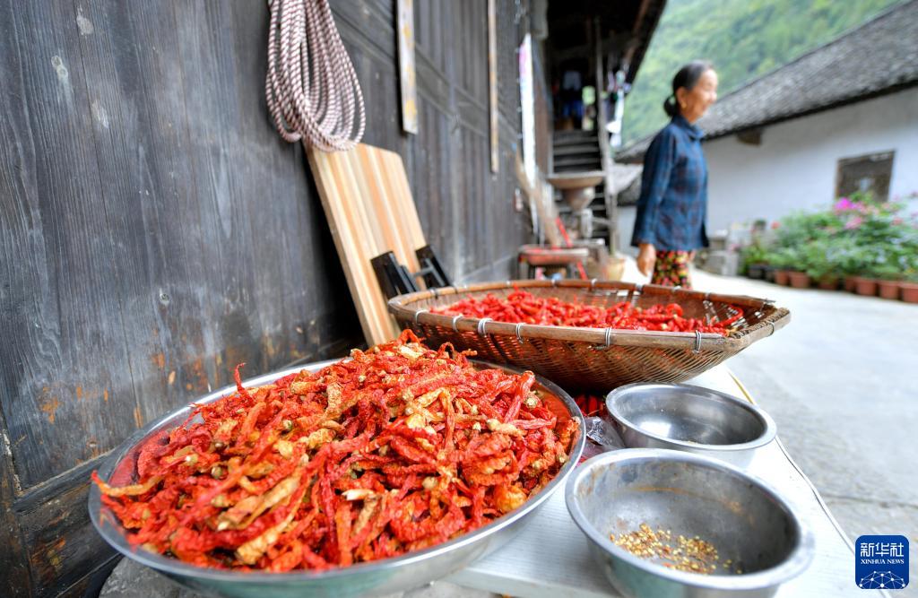 伝統(tǒng)住居「吊腳樓」と初秋の水田　湖北省