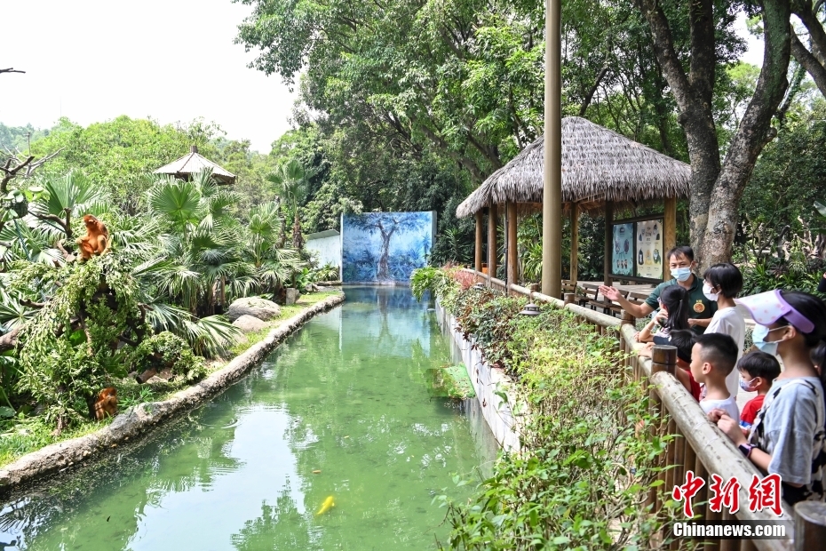 広州の小學(xué)生が動(dòng)物園で新學(xué)期初の授業(yè)　広東省