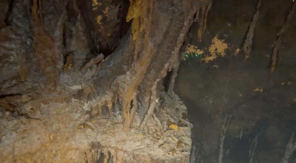 沈沒した豪華客船「タイタニック號(hào)」の8K映像が公開