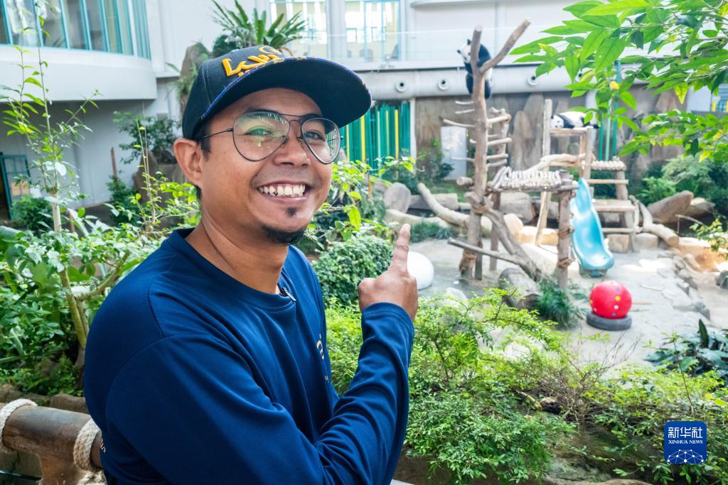 パンダにとっての「イクメンパパ」？愛情注ぎ8年　マレーシア