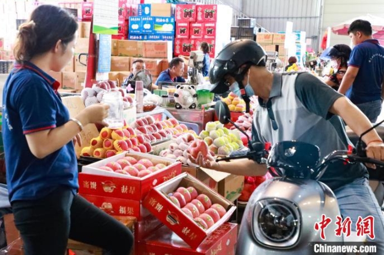 フルーツを選ぶ果物取引業(yè)者（撮影?王偉臣）。