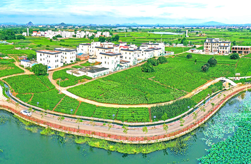 ジャスミンの花が作り上げた街?広西橫州市