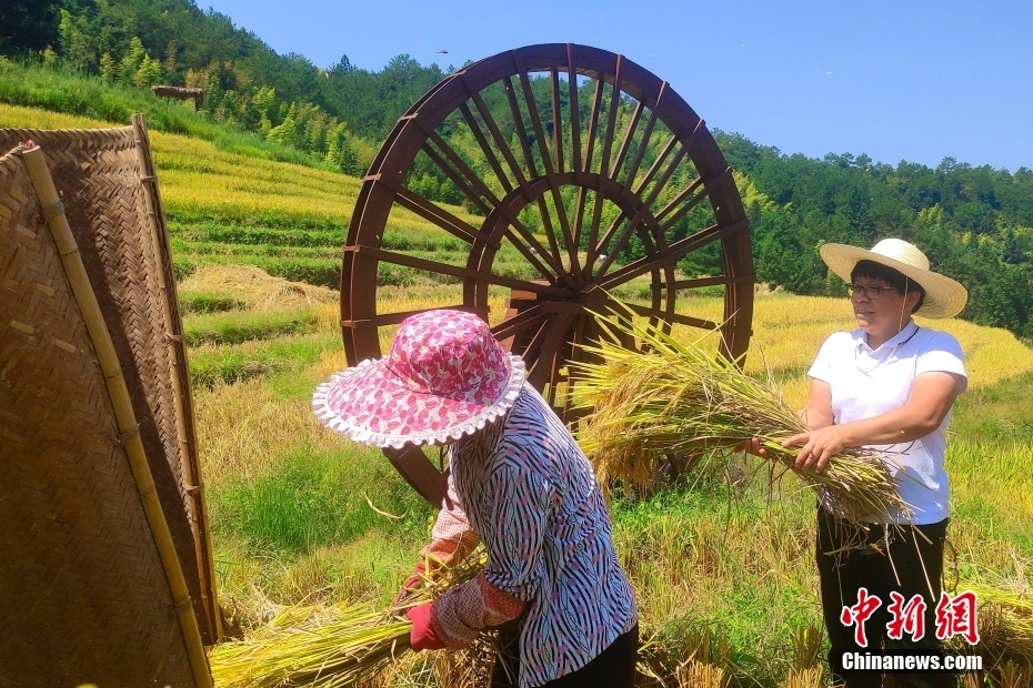 カラフルで美しい棚田の秋景色　福建省永定