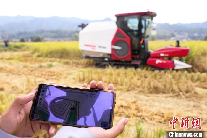 貴州省初の水稲「無(wú)人農(nóng)場(chǎng)」が豊作迎える