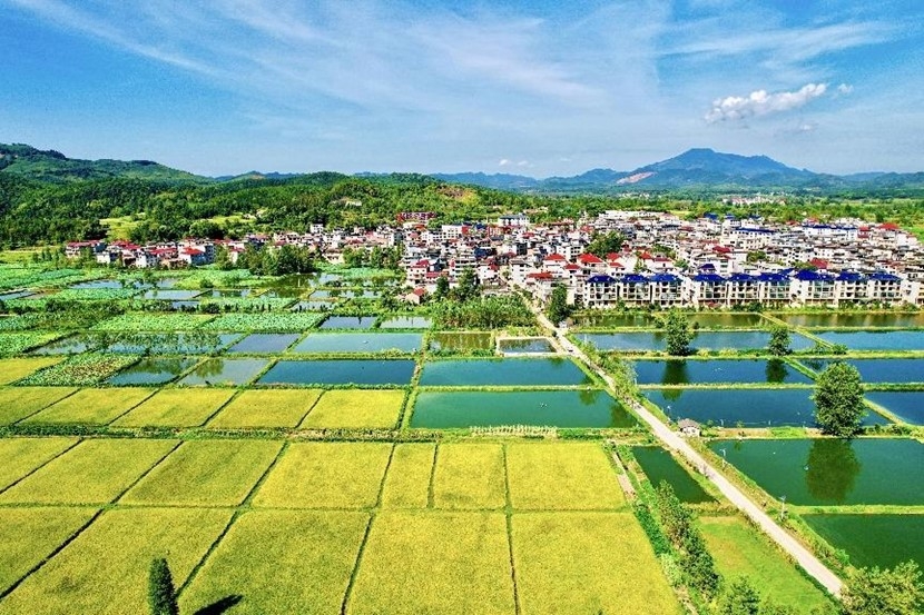 【中國のこの10年】子孫に美しい環(huán)境を殘すための取り組み