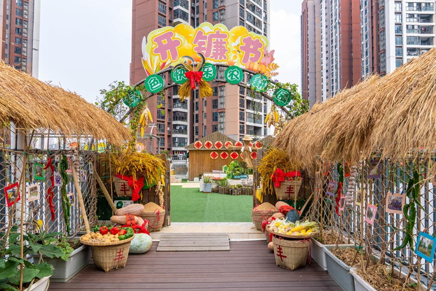 稲穂が色づく秋に稲刈りに勤しむ生徒たち　広東省深セン