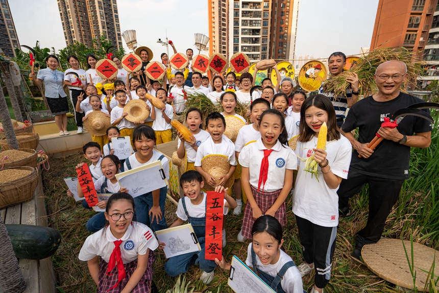 稲穂が色づく秋に稲刈りに勤しむ生徒たち　広東省深セン