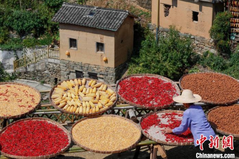 豊作を迎えた秋を彩る天日干し　安徽省黃山
