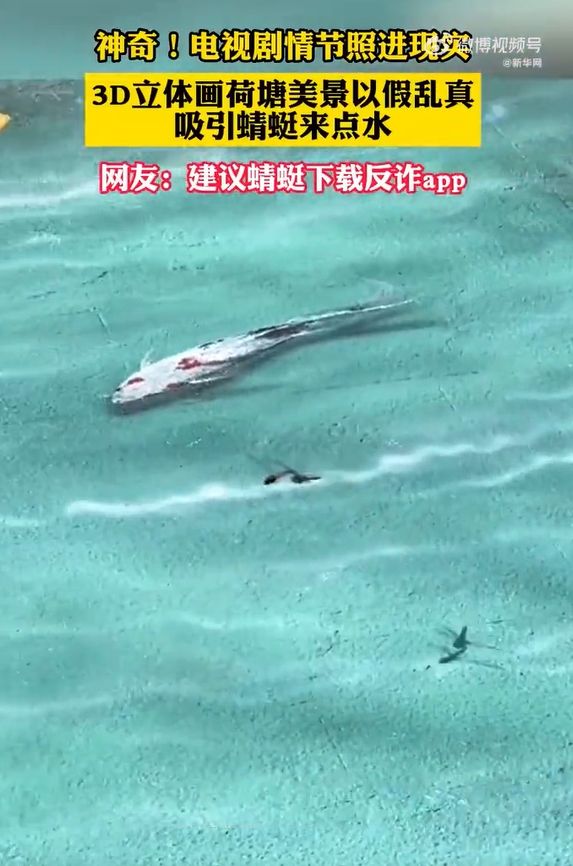 トンボも騙された？リアルすぎる3D立體畫の「ハス池」が話題に　浙江省麗水