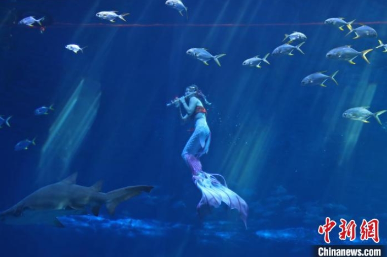 2022年中國マーメイドスイムコンテストが開催　江西省南昌