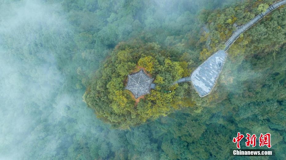 雨上がりの景色はまるで水墨畫の世界　貴州省の世界自然遺産?雲(yún)臺(tái)山