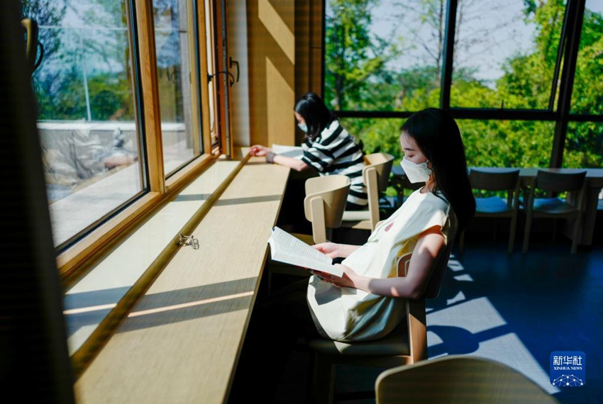 重慶市江北區(qū)の森林公園內(nèi)で公共図書館がオープン