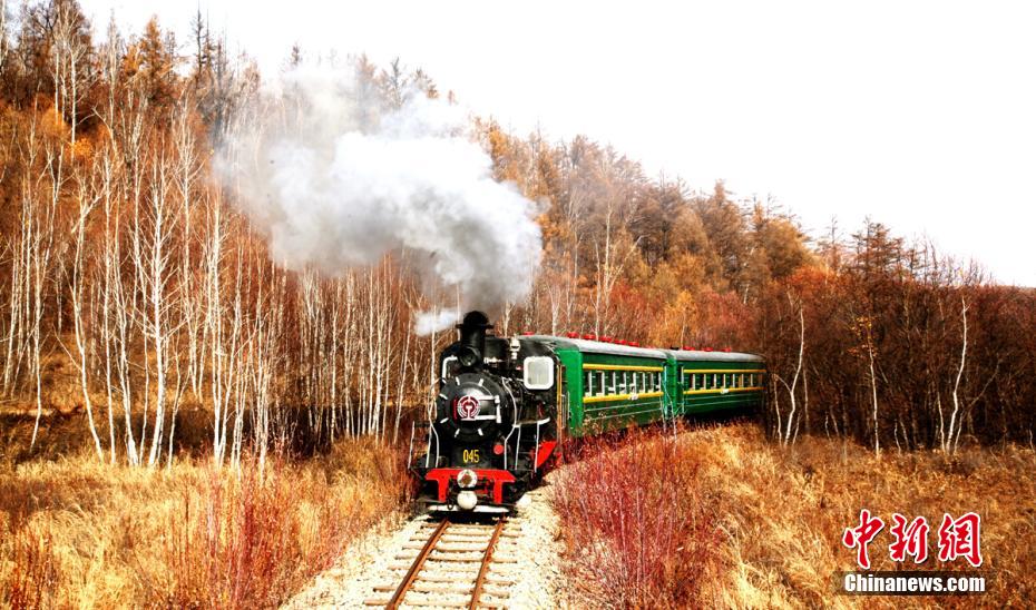 色とりどりに染まる晩秋の森　內(nèi)モンゴル大興安嶺