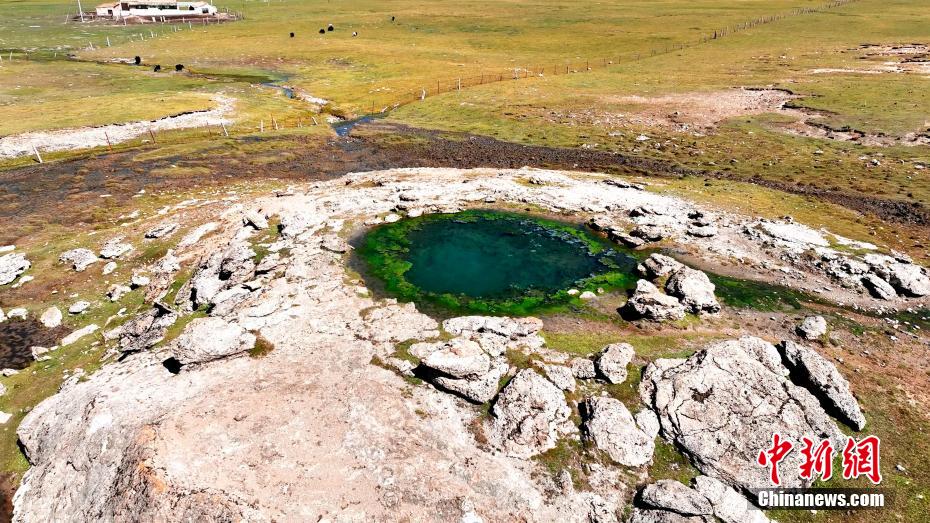 青海湖北岸にある溫泉（撮影?海晏融）。