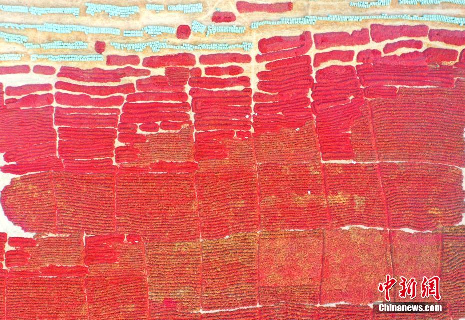 まるでレッドカーペット！上空から撮影した唐辛子の豊作風(fēng)景　新疆