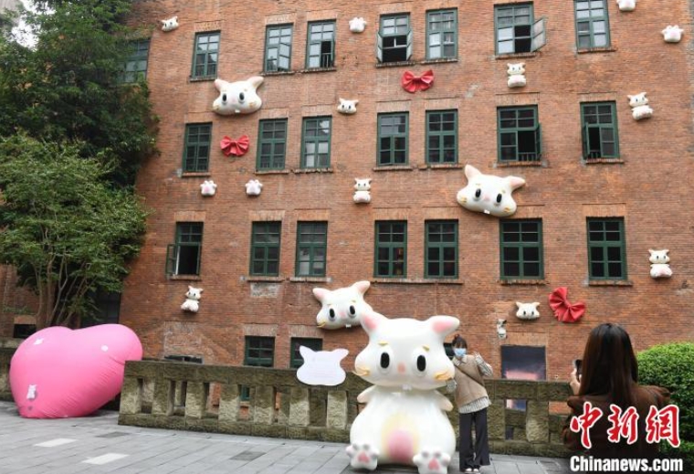 「貓の壁」が登場(chǎng)！キュートな姿が市民の人気の的に　重慶