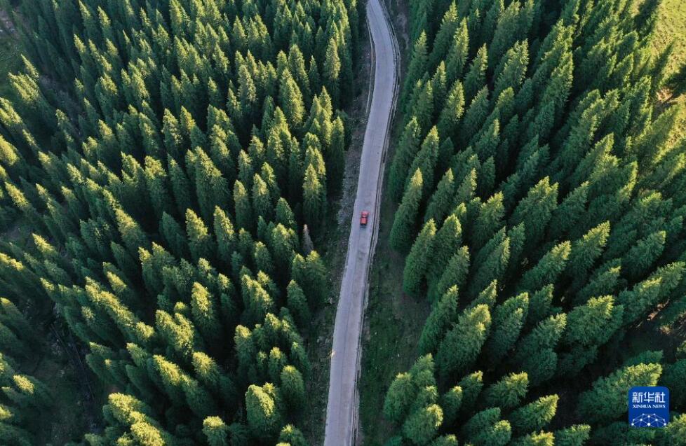 【中國のこの10年】新疆、道路6.22萬kmが新たに建設(shè)